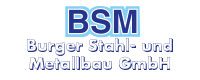 BSM Logo