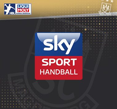 Sky Sport Handball logo