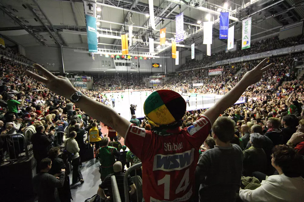 Handballfans in der Bördelandhalle - Heimspielstätte der Gladiators aus Magdeburg